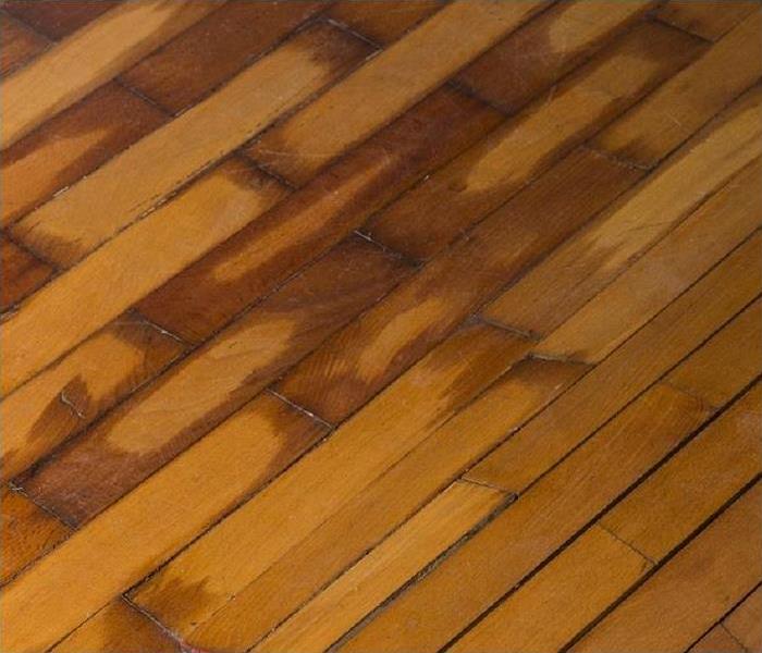water damaged hardwood floors