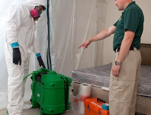 mold remediation services